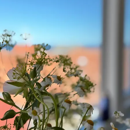 Apartamento Bright Near Sea And Harbour